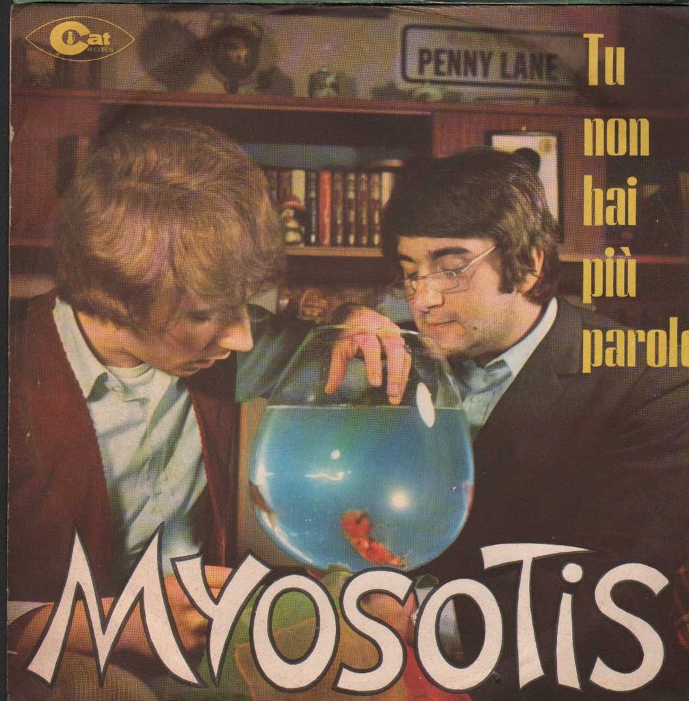 Tu Non Hai Più Parole / Nel Giardino Di Molly Vinile 45 giri 7" Myosotis