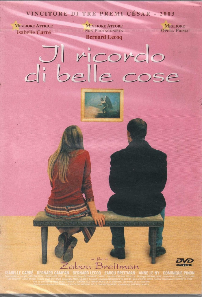 Il Ricordo Di Belle Cose DVD Zabou Breitman / Sigillato 8032442201716