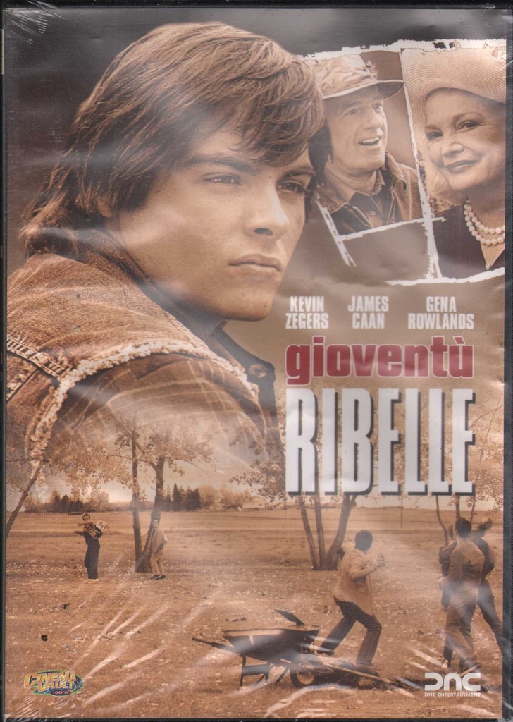 Gioventu' Ribelle DVD Paul Johansson / Sigillato 8026120181537