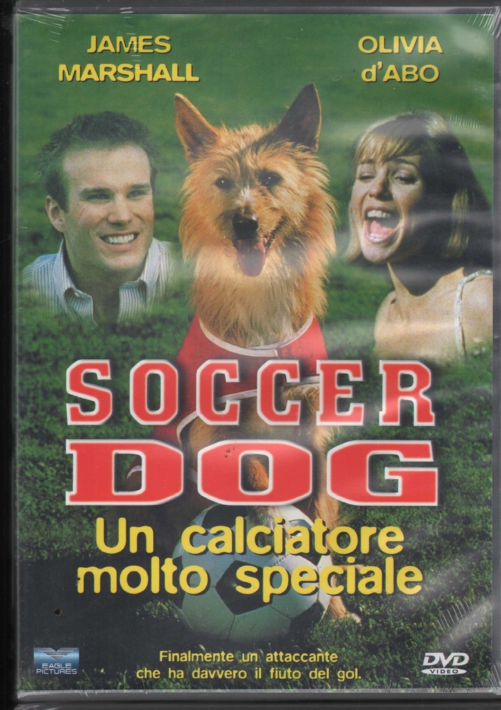 Soccer Dog DVD Tony Giglio / 8031179905980 Sigillato
