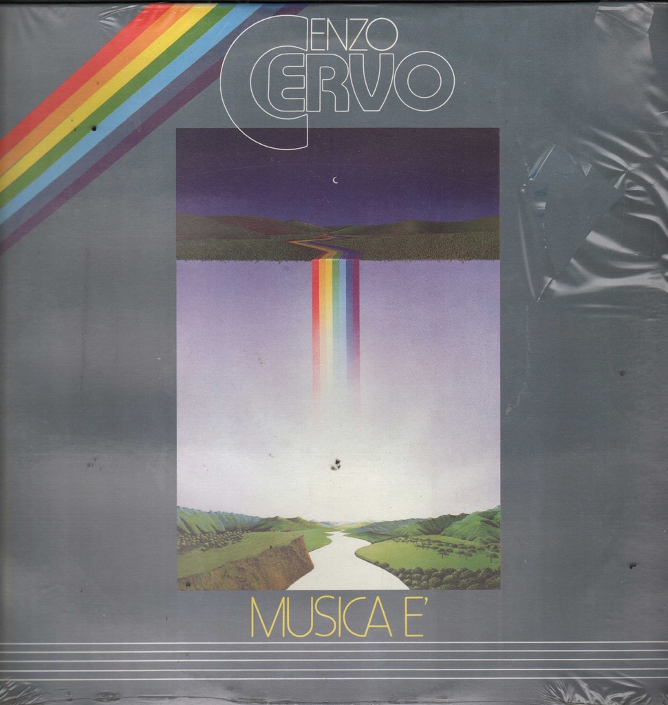 Lp 33 Giri Enzo Cervo / Musica E'