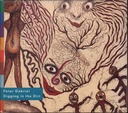 Digging In The Dirt CD Digipack Peter Gabriel